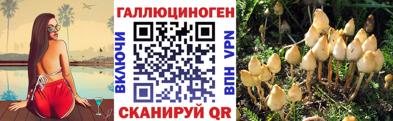 Псилоцибиновые грибы мухоморы Балей