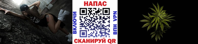 цена наркотик  Балей  Марихуана Amnesia 